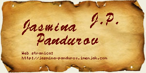 Jasmina Pandurov vizit kartica